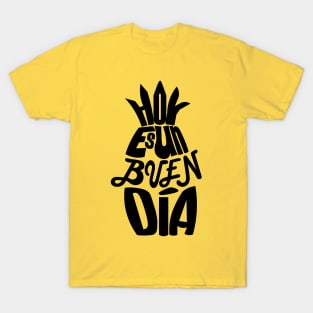 Pineapple Gift Idea T-Shirt